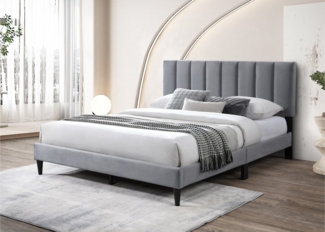 Home Collective Polsterbett 140x200 & 160x200 cm mit Lattenrost und weichem Bezug, Bettgestell (Doppelbett mit gepolstertem Kopfteil, robustes Gestell, hoher Liegekomfort), vertikaler Steppung, 160x200 cm, Grau