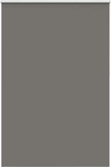 vidaXL Verdunkelungsrollo Grau 165x230cm Stoffbreite 161,6cm Polyester 4011219