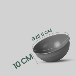 4er Pack Kunststoff Schüssel Plastikschüssel - BPA Frei - Spülmaschinenfest - ( Ø25,5cm / Grau ) Bruchfester PP - Salatschüssel Rührschüssel Schüssel