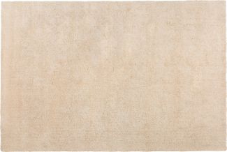 Teppich hellbeige 200 x 300 cm Shaggy DEMRE