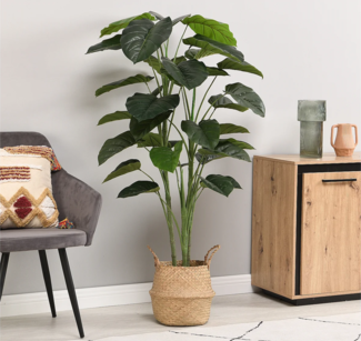 Vente-unique - Kunstpflanze Taro-Baum mit Topf - H. 160 cm - Grün - BAJA