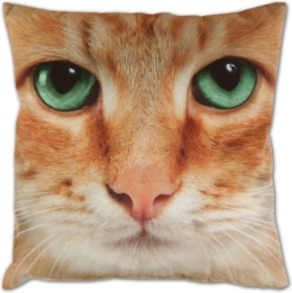 Bestlivings Kissenbezug Fotodruck Motiv in 40x40 cm, Flauschig weiche Kissen-Hülle in vielen Motiven erhältlich ( Design: Katze Beige )