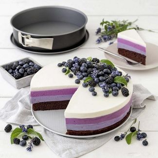 ZENKER Springform 24 cm mit Antihaftbeschichtung / Serie Energy / Backform / Kuchenform