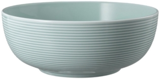Seltmann Weiden Schale Seltmann Weiden Beat Arktisblau Foodbowl 20 cm, Porzellan, (1 Foodbowl)