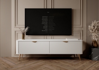 MOEBLO TV-Board RTV Pholx F 163 2D (Griffe und Beine aus Metall, geriffelte-Fronten, Lowboard Fernsehtisch TV Bank TV Tisch Fernseher Tisch TV Möbel), (BxHxT):163x51x38 cm