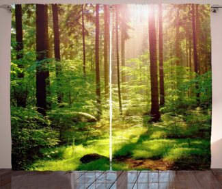 Abakuhaus Gardine Schlafzimmer Kräuselband Vorhang mit Schlaufen und Haken, Wald Sunset Moss Woods Bäume