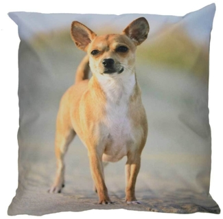 Outdoor Kissen Hundemotiv Gartenkissen Hund Welpe Wasserabweisend 40 x 40 cm