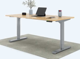 Desktopia Pro X - Elektrisch höhenverstellbarer Schreibtisch / Ergonomischer Tisch mit Memory-Funktion, Bambus Echtholz, Gestell Grau, 160x80 cm