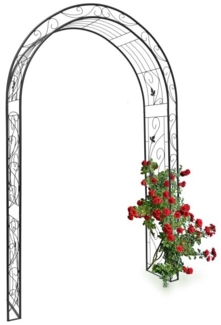 Rosenbogen Blatt