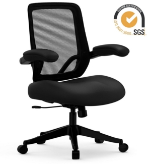 FLEXISPOT Bürostuhl Big MAX Ergonomischer Bürostuhl