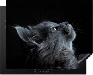 MuchoWow Herd-Abdeckplatte Katze - Licht - Schwarz, Vinyl, (1 tlg), Küche Herdabdeckplatte Ceranfeld Vinyl Einteilig, 59x52 cm