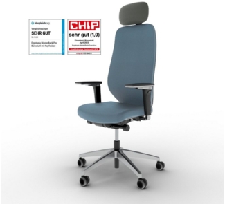 Ergotopia Bürostuhl MasterBack ergonomischer Schreibtischstuhl mit Kopfstütze (bereits montiert)