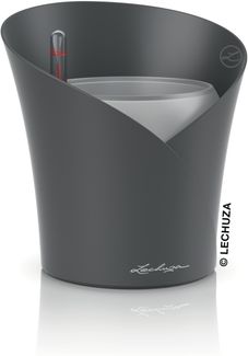 Lechuza Pflanzgefäß Orchidea schiefergrau