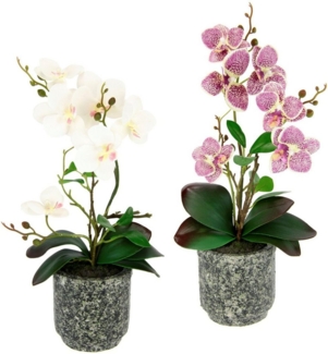 Kunstpflanze Orchidee, I.GE.A, Höhe 38 cm, Mit Blättern und Luftwurzeln, im Topf aus Keramik, 2er Set
