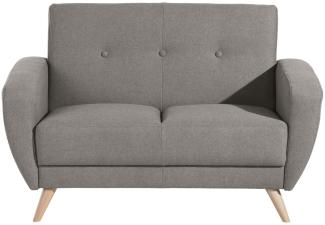 Jerry Sofa 2-Sitzer Samtvelours (Fleckenschutz vorbehandelt) Grau Buche