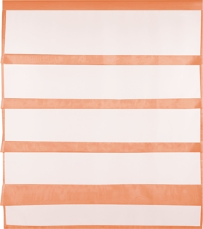 Transparente Bistrogardine Raffoptik mit Stangendurchzug in Voile, schlicht und modern in vielen verschiedenen Farben erhältlich (90x110 cm / apricot - orange)