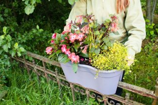 Flowerclip XL Blumentöpfe, 2er Set, grau