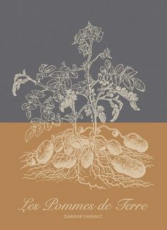 Garnier-Thiebaut Geschirrtuch Pommes De Terre Ocre 56x78 Cm 100% Gekämmte Baumwolle