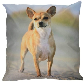 Outdoor Kissen Hundemotiv Gartenkissen Hund Welpe Wasserabweisend 50 x 50 cm