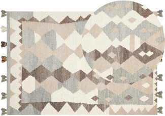 Kelim Teppich Wolle mehrfarbig 160 x 230 cm geometrisches Muster Kurzflor ARALEZ