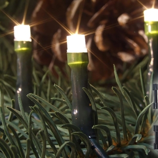 FHS LED-Batterie-Minikette außen 48er warmweiß, IP44 6/18 h Timer, Batterien 3 x AA