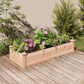 vidaXL Hochbeet mit Einsatz 120x45x25 cm Massivholz Tanne 364286