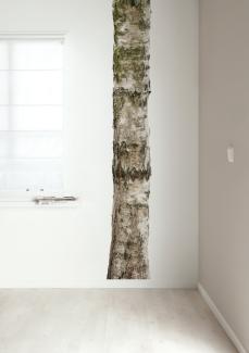 KEK AMSTERDAM Home Tree Wandsticker , 28 x 260 cm Braun