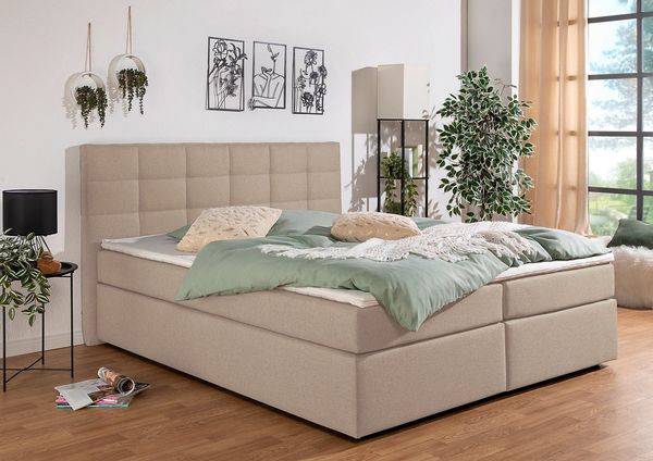 INOSIGN Boxbett Ovalo, wahlweise mit Bettkasten, in H2, H3 & H4 erhältilich