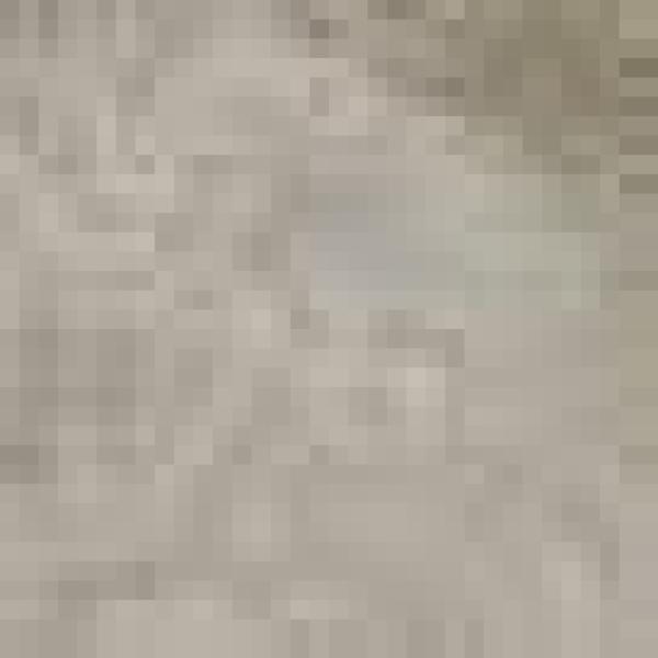 SCHÖNER WOHNEN-Kollektion Fellteppich Tender, rund, Höhe: 26 mm, besonders weich durch Microfaser, Kunstfell, waschbar, Wohnzimmer Bild 3