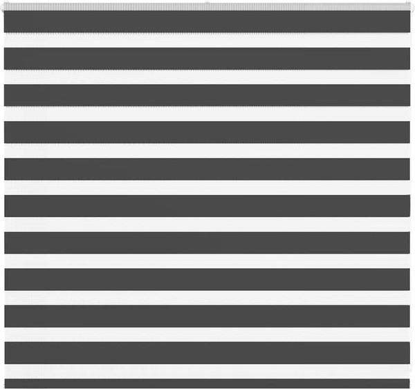 vidaXL Doppelrollo Schwarz 160x100 cm Stoffbreite 155,9 cm Polyester 4014221