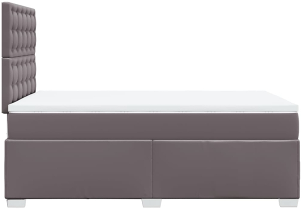 vidaXL Boxspringbett mit Matratze Grau 120x200 cm Kunstleder 3293018 Bild 10