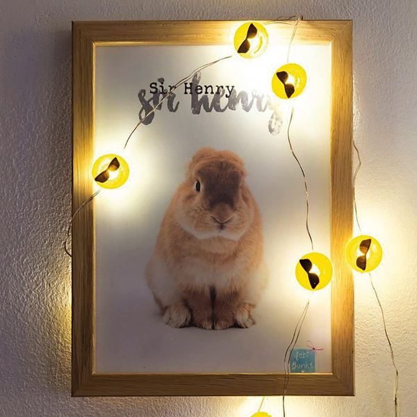 hellum LED Kupfer-Lichterkette, Cool-Emoji mit 2 cm Durchmesser, 10 warmweiße LEDs, 90 cm Lichtlänge, Kabel silber, Indoor, batteriebetrieben (2AA), 522952