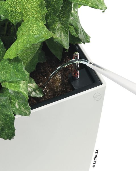 LECHUZA-Pflanzgefäß CUBICO Premium 30 Weiß Hochglanz | Pflanzgefäß mit Bewässerungssystem, Wasserstandsanzeiger und Pflanzeinsatz | Hochglanz-Oberfläche | 29,5 x 29,5 x 56,5 cm | 18181 Bild 2