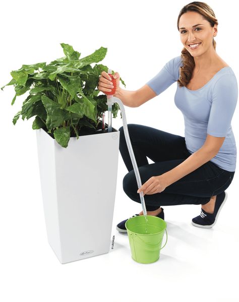 LECHUZA-Pflanzgefäß CUBICO Premium 30 Weiß Hochglanz | Pflanzgefäß mit Bewässerungssystem, Wasserstandsanzeiger und Pflanzeinsatz | Hochglanz-Oberfläche | 29,5 x 29,5 x 56,5 cm | 18181 Bild 10