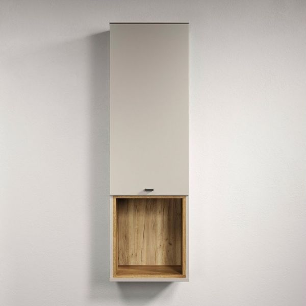 Places of Style Hängevitrine San Pedro (1-St) Hängeschrank, 1 Tür, 1 Fach & Soft-Close - (B/T/H) 40/37/130 cm