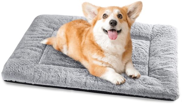 Baodan Hundebett Kleine Hunde Waschbar, 75x50 cm Hundekissen Flauschig mit rutschfeste Unterseite, Hundebetten für Kleine Mittelgroße Hunde, Grau
