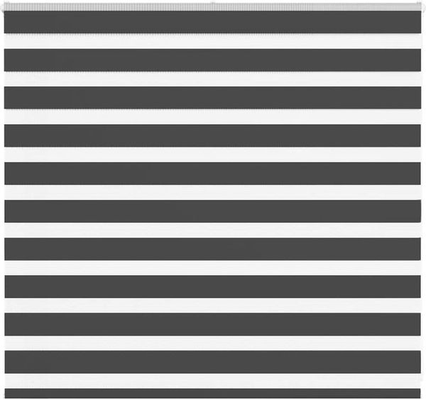 vidaXL Doppelrollo Schwarz 165x100 cm Stoffbreite 160,9 cm Polyester 4014222