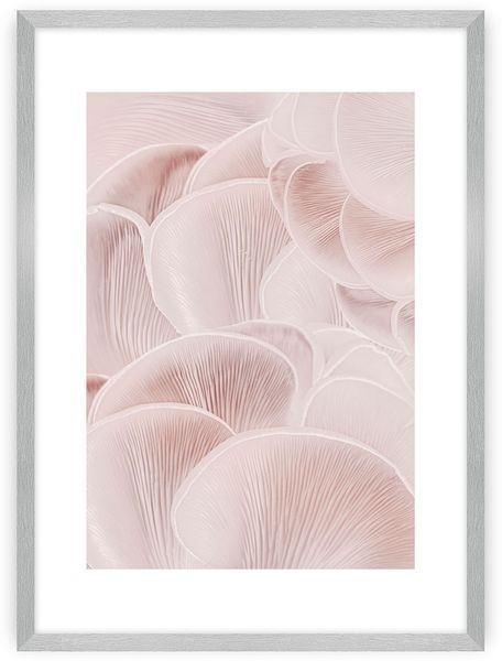 Dekoria Poster Pastel Pink I