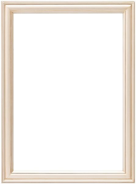 Dekoria Spiegel Ricca 60x80cm silver
