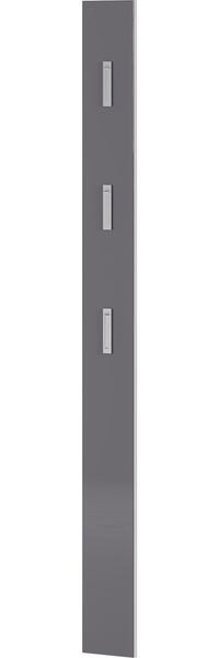 Garderobenpaneel >3765< 3 Haken, in Graphit - 15x170x3cm (BxHxT)