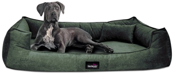 tierlando® Tierbett Orthopädisches Hundebett BRUCE VELOURS Waschbar Große Hunde, orthopdisch, waschbar, samtweich