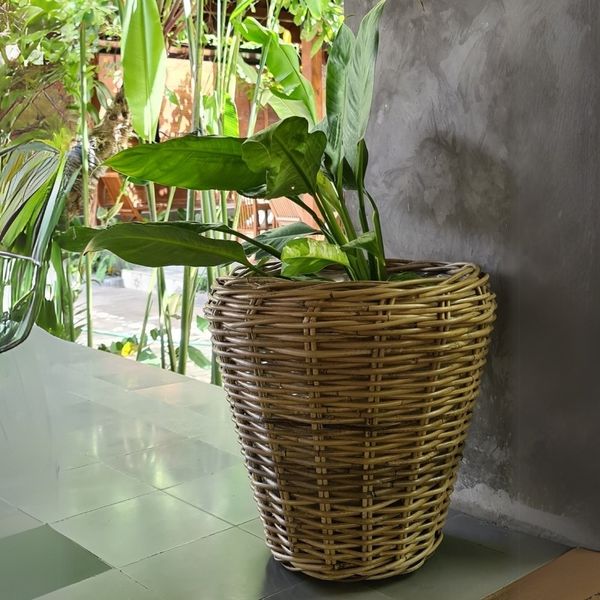 Natur Rattan Pflanzkorb AMRUM Kubu Grey ca.H30cm Pflanztopf Übertopf Korb