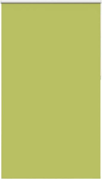 vidaXL Verdunkelungsrollo Grün 140x210cm Stoffbreite 136,6cm Polyester 4011318