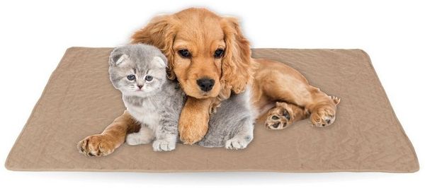 Bestlivings Tierdecke gesteppte Haustierdecke S-XL, Polyester, Haustiermatte - perfekt für Katzen bis große Hunde - Steppdecke