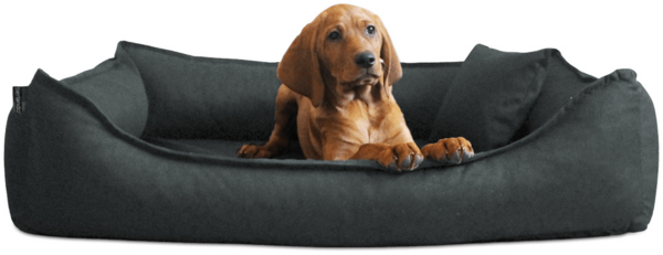 DONALD Orthopädisches Hundebett - 02 Graphit, 80x60cm