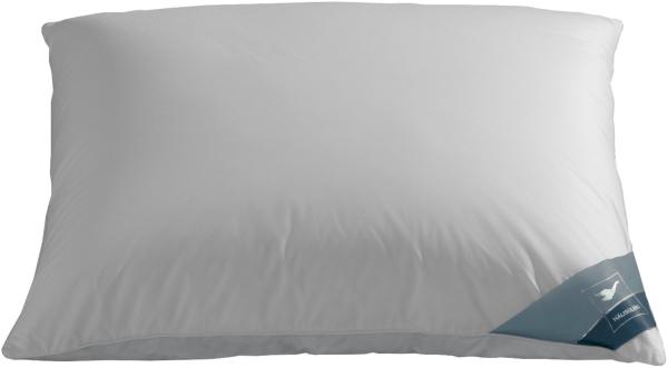 Häussling Feder/Daunenkissen Grönland soft Kopfkissen Größe 80x80 cm