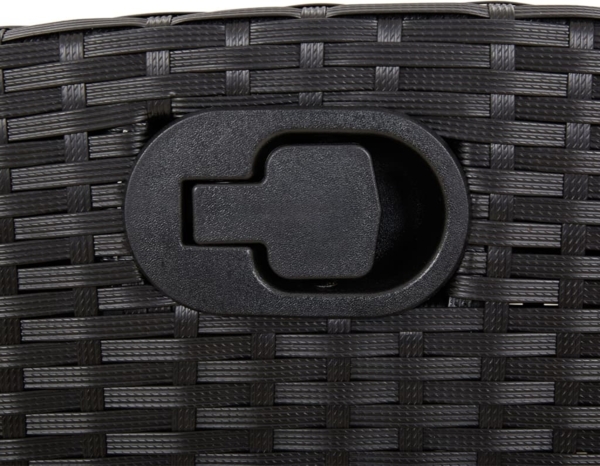 vidaXL 9-tlg. Garten-Essgruppe mit Kissen Schwarz Poly Rattan 3212250 Bild 6