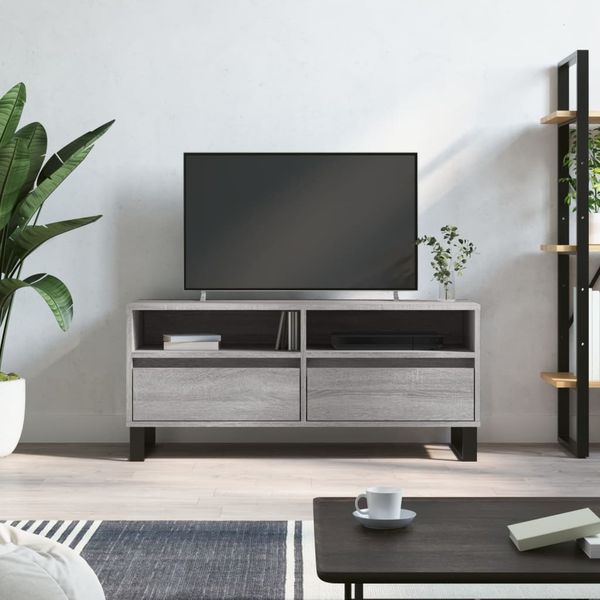 vidaXL TV-Schrank Grau Sonoma 100x34,5x44,5 cm Holzwerkstoff 831250