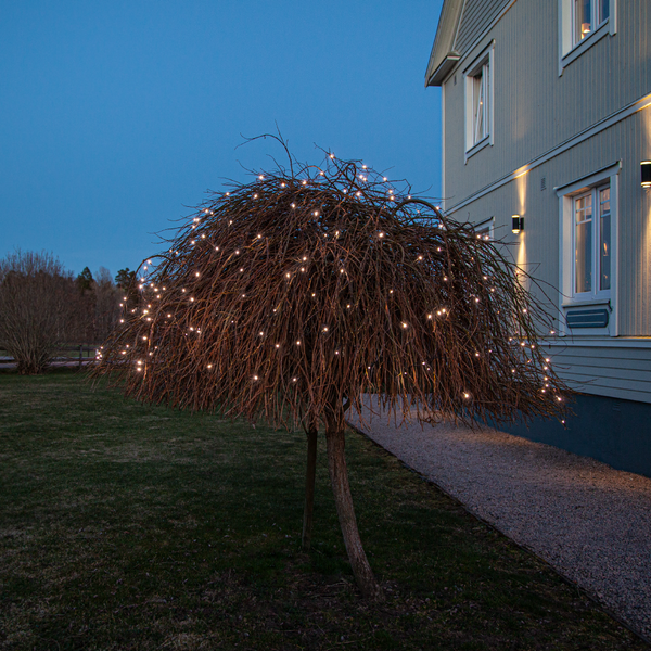 Star Trading 594-42 Weihnachtsdekoration LICHTERNETZ CRISPY ICE WHITE LED 200X0,064W Kunststoff schwarz L:300cm B:0. 5cm H:300cm IP44