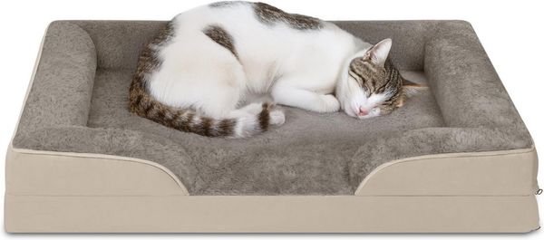 Aspero Tierbett Katzenbett Kotka, 100 % Polyester, Kuschelbett für Katzen mit abnehmbarem Bezug
